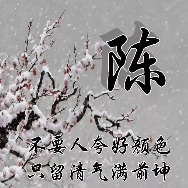  红梅|红梅花儿开，朵朵放光彩，千里冰霜脚下踩