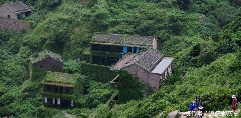 实拍浙江枸杞岛无人村：村民全部搬走成鬼村，墙上长满爬山虎如童话世界