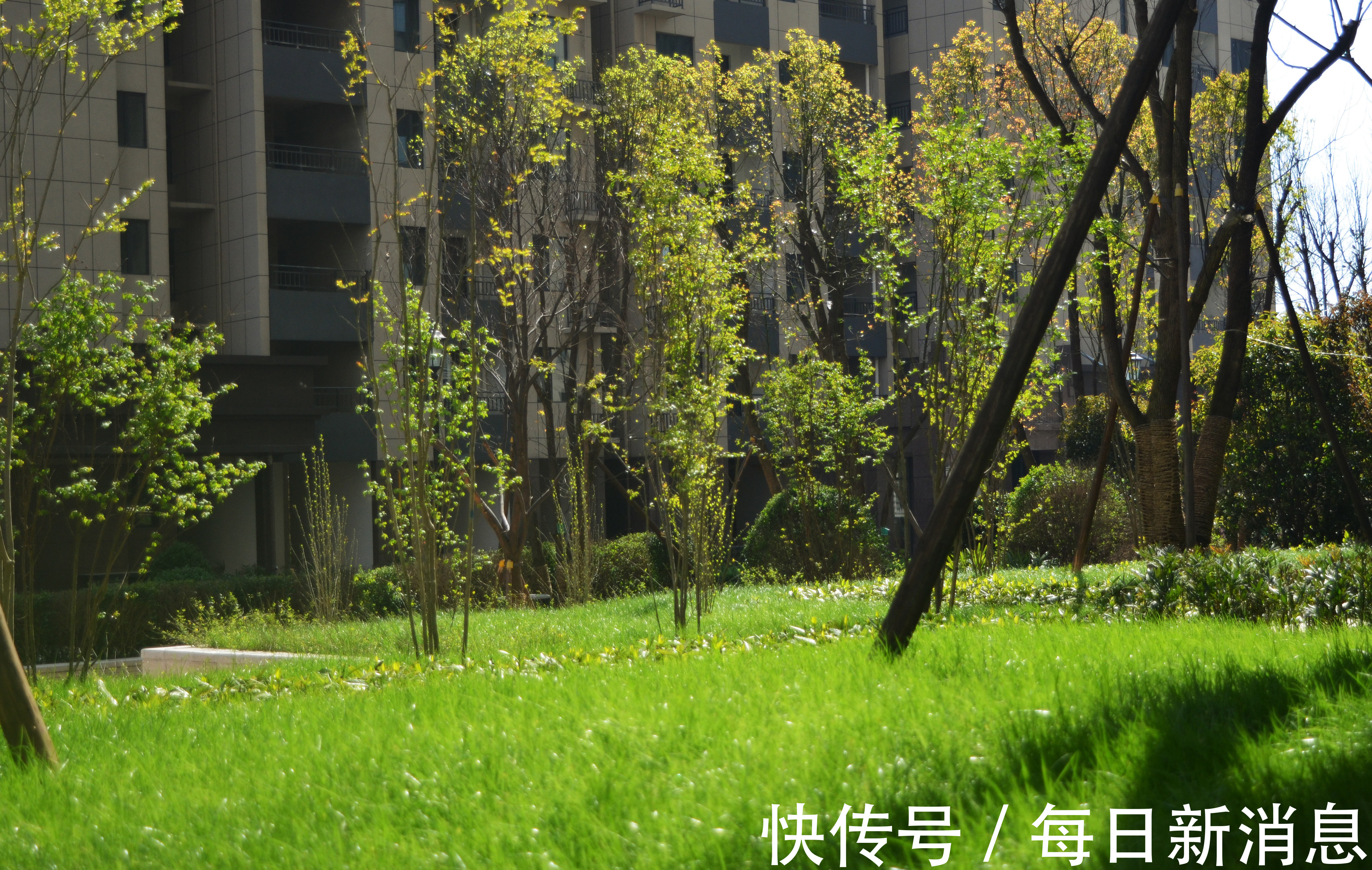 大盘|梅溪青秀：以国际化大盘思维，创造有思想的名邸