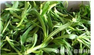 面条菜|农村以下2种野菜,不仅营养价值高,还能润肺止咳、凉血止血