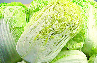 大白菜|忠告看见此种白菜不要买,更不要吃,现在知道还不晚!