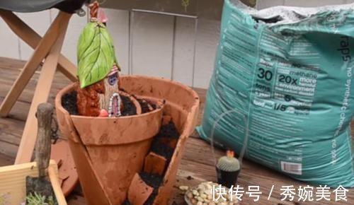 养花还在买花盆学会一招，再不用多花一分钱，一捡一大堆