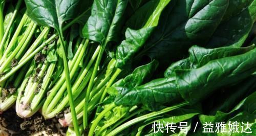 补血|立春后的养肝菜：补血、增强免疫力、润肠通便！你却扔垃圾桶！