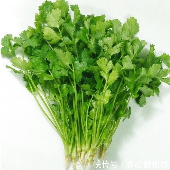 健康|阳台不要再浪费,聪明人此样做,绿色健康,吃不完还可以卖