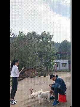 |幽默段子：我们大笑着放下饭碗，立即跑过去救人