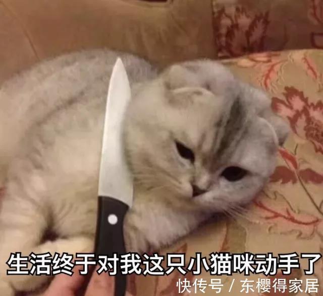 遗憾|作为装修从业人员,见过的42条装修遗憾,多少人被坑得哭爹喊娘!