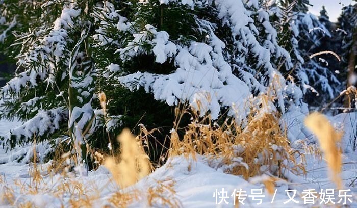 照片&德艺术家把不着片缕的美女隐藏在照片中,人体彩绘伪装下佳人何在