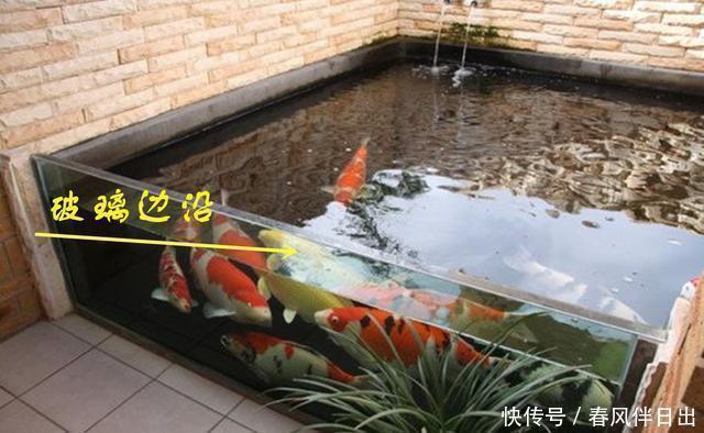 鱼池|若是我家带院子，不会用来种菜，一定要弄个喷泉玻璃鱼池，多亮眼