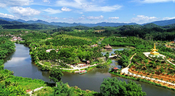 春来景色好 咖啡花正艳 人民日报记者将带你走进兴隆咖啡谷