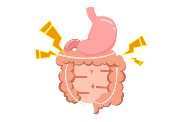 肠胃有个“保护伞”,若你爱吃,促进代谢,肠胃越来越健康