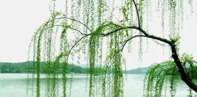 岳母对出此上联就让你回家,结果女婿留宿,下联至今无人能对出