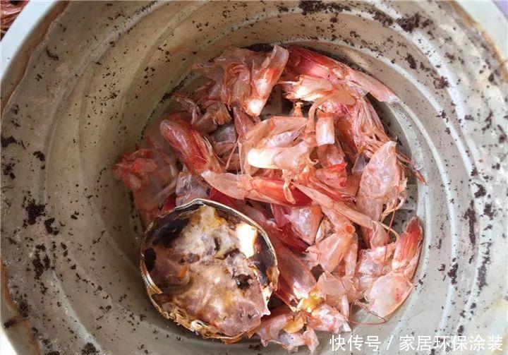 鸡蛋戳个洞,埋盆里1年不用施肥,三角梅疯狂开花