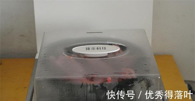 天气寒冷，吃鸽胜过鸡和鸭！上锅一蒸香气四溢，高蛋白好消化！