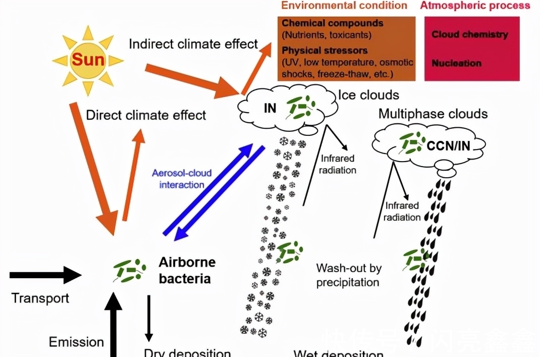 2026年中国化肥行业全景调研与发展战略研究