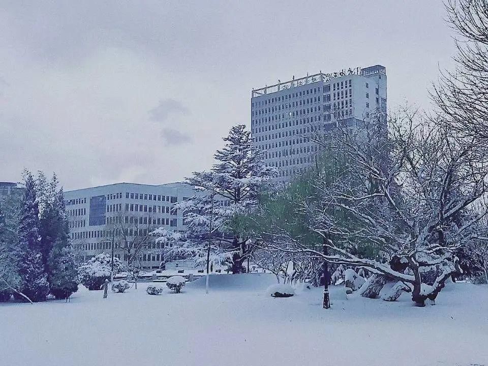 中医药|岁末校园，冬日雪如诗，绝美中医药高专！