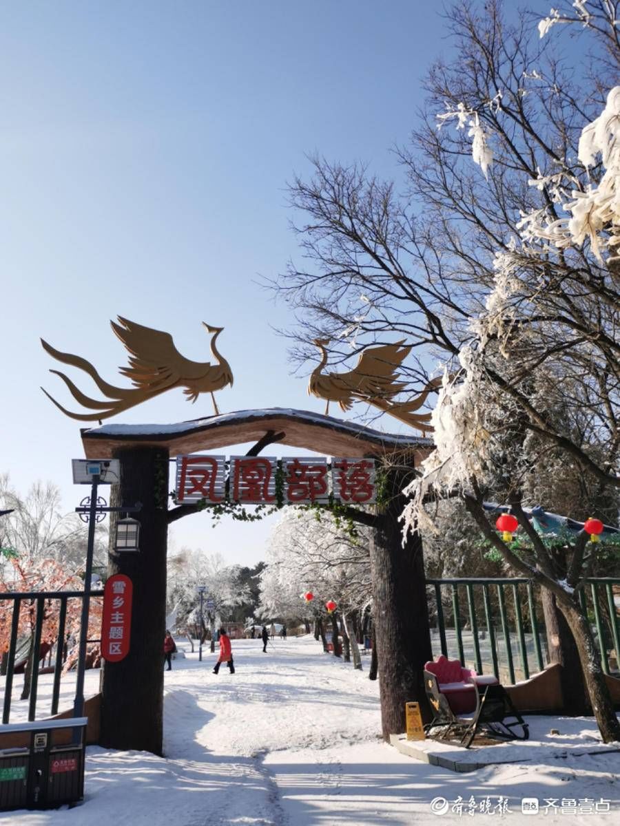 跑马岭|虎啸春来丨春节期间，来跑马岭感受沉浸式冰雪乐园