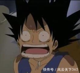 发型|论发型的重要性!索隆换上罗宾发型后会有怎样的效果