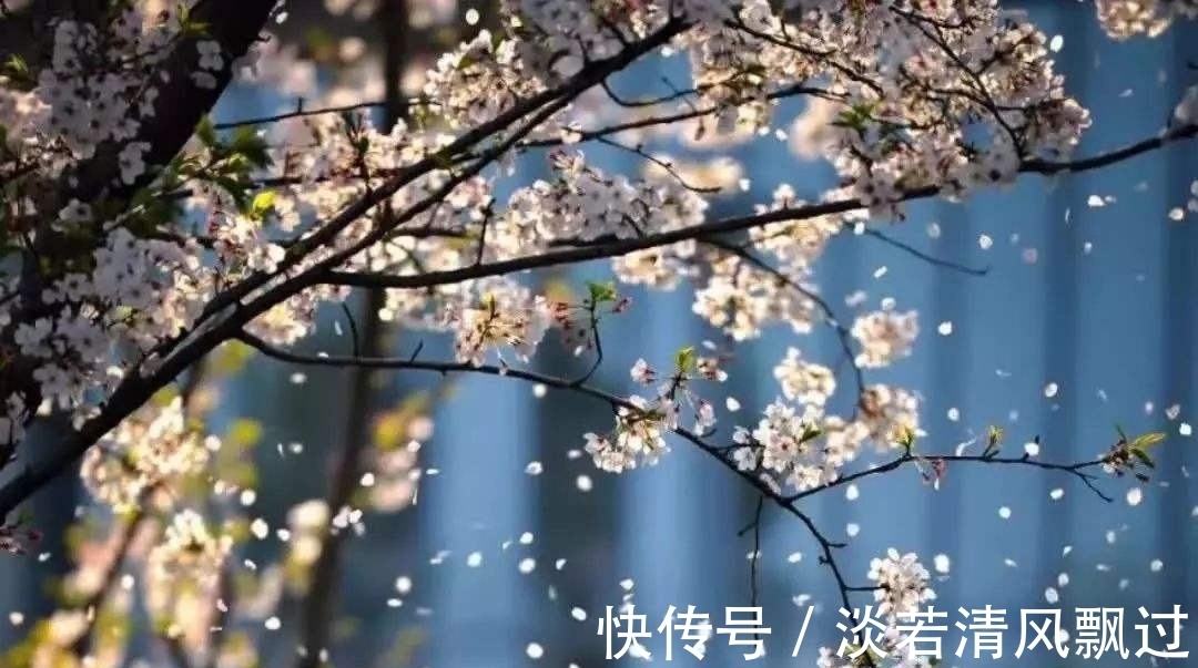 李桃&诗人郑谷一首梅花七律,芬芳盈袖,妍胜李桃,离情别绪,魂断楚桥