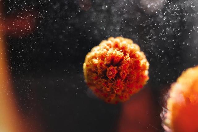 宫颈|女子宫颈病变,后悔大哭,医生忠告皮肤若有2种异常,早查HPV