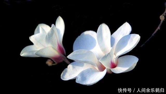 遥远的距离|做人，若是理不清这三种关系，人生会很苦