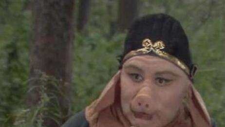 太上老君的徒弟都有谁猪八戒是其中之一,这两个妖精也是他徒弟