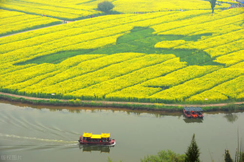 解密潼南的陈抟故里景区，来这里观赏油菜花海已成了水陆空全覆盖