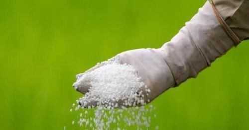 养花|养花一定要戒掉的坏习惯,不然家里全是空花盆,啥花也养不好