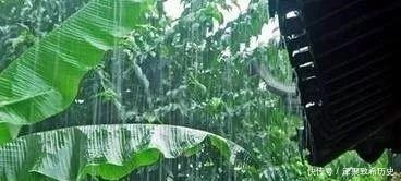 北宋词人写了一首 “雨”词,全文无“雨”字,却句句都在说雨