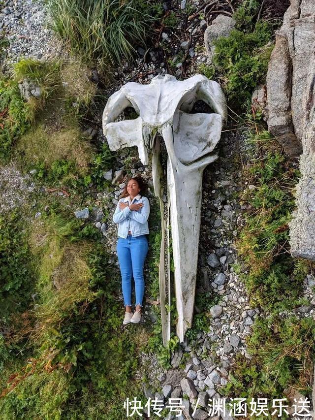 25张不可思议的对比图,你可能一张都没见过!