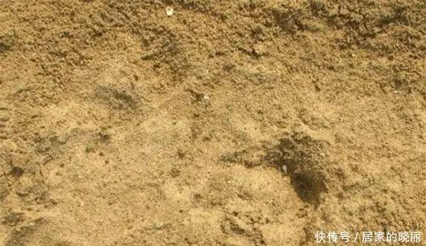 解决|土壤板结不必再换土了,简单一招教你完美解决