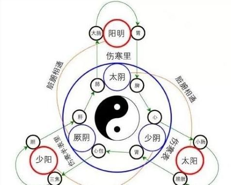  少阳|搞懂太阳、阳明、少阳之症，胆结石好了、皮肤细腻了、晚上不起夜