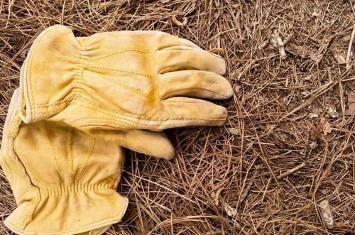 松针收集的足够多，处理方法正确，从此养花再不用掏钱买土、肥