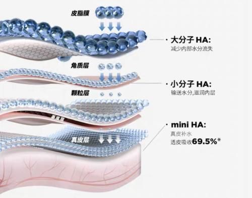 小可爱们|胶原蛋白VS玻尿酸,拿什么拯救这张不想衰老的脸