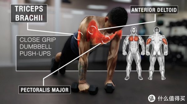 动作|只有哑铃，该如何训练肱三头肌？