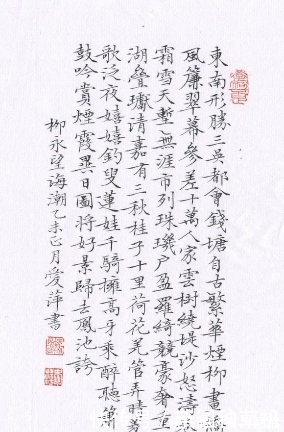 小楷|她获11届书法国展最高奖,小楷精到淡雅,却让人昏昏欲睡