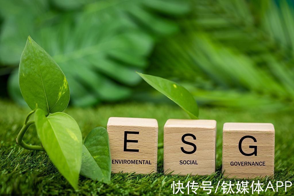 ESG|到底啥叫“ESG”，为何汽车圈都在高举“ESG”大旗？