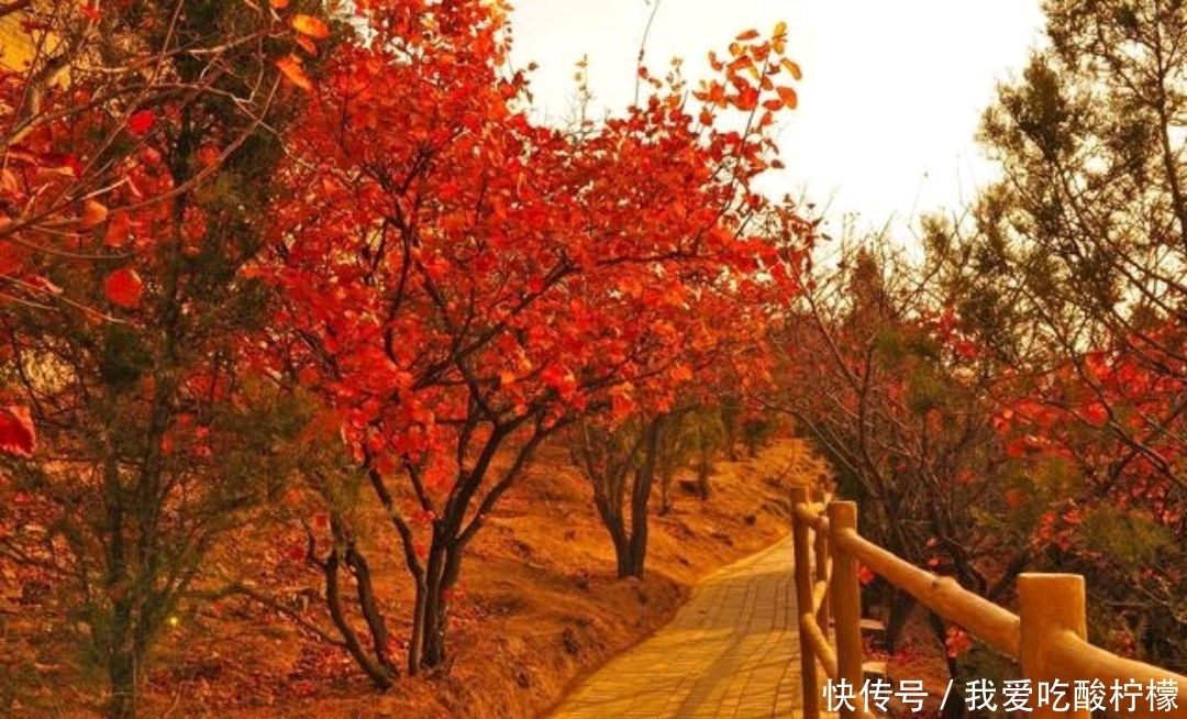 老年|野渡诗联：愁锁香山红叶瘦，邀对下联