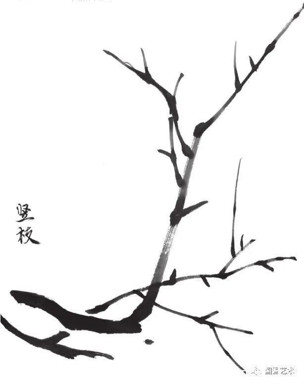 垂枝!图文教程:轻松学画写意木本花卉枝干