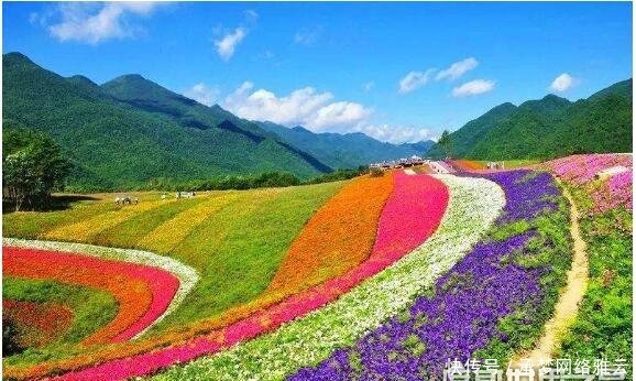 世界十大绝美花海 每一处都是美丽浪漫的最佳告白之地 全网搜 世界十大绝美花海 每一处都是美丽浪漫的最佳告白之地 全网搜