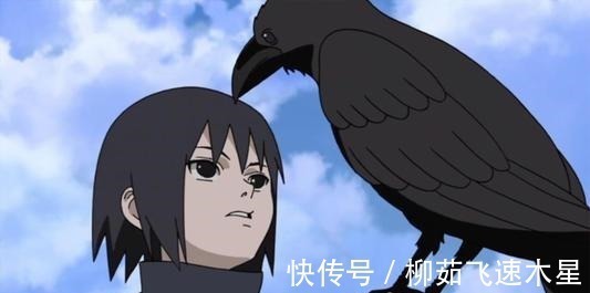 团藏|火影忍者 通灵兽万蛇不是唯一最惨的,它们也一样