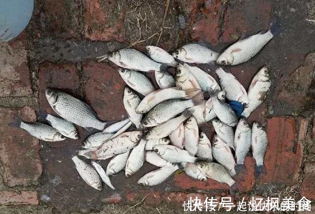 垂钓|秋冬想钓大鲫鱼，没有给力的窝料怎么行，这个配方有奇效，别错过