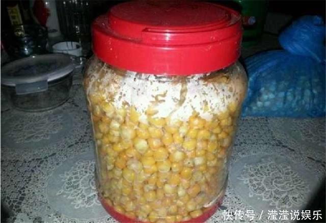 钓鱼|夏季钓鱼不用愁,只需玉米配小麦,野钓鲤鱼草鱼鲫鱼有奇效!