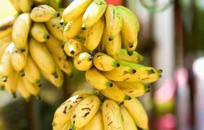 聰明女人把它當(dāng)零食，皺紋少了，養(yǎng)容美顏，還有助于睡眠