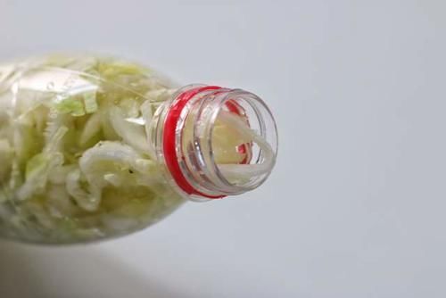 酸菜|想吃东北酸菜，现在腌制也不晚，教你简单做法，想失败也不容易