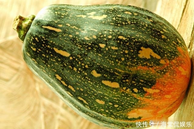 块钱|入秋后,此菜正当季,1块钱一斤,上锅一煎,皮薄馅多,比饺子香