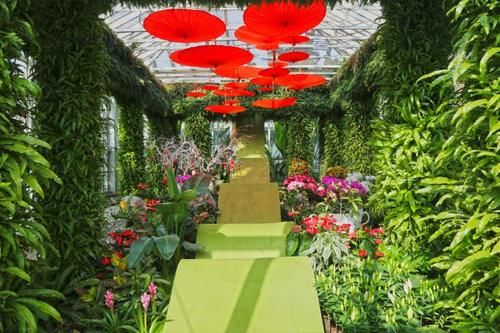 春节七天沪上公园游客量明显增长，郊野公园游客较前年同期猛增4倍多