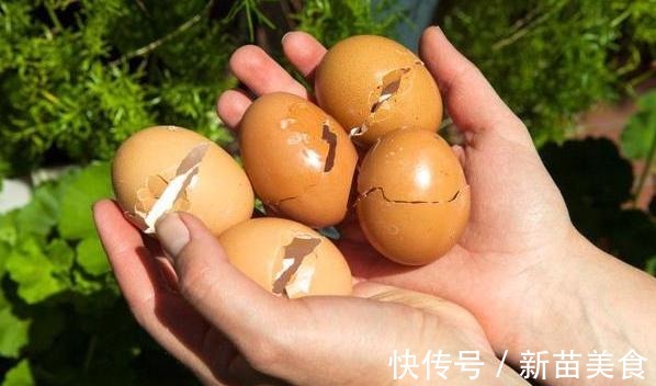 还在用啤酒浇花抓紧时间处理废弃的蛋壳，撒土里比啥肥都强