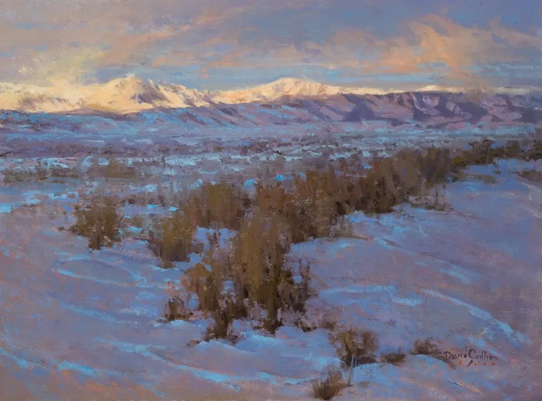 德克萨斯州#大卫·格里芬的风景油画高清图,放大看,更迷人