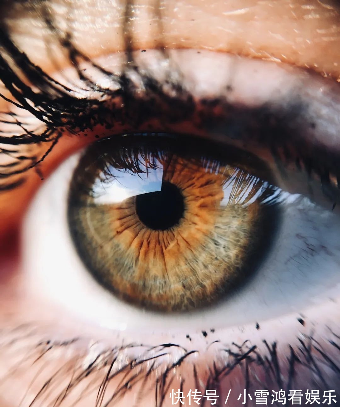 体系|如果康德做品牌:品牌形而上学