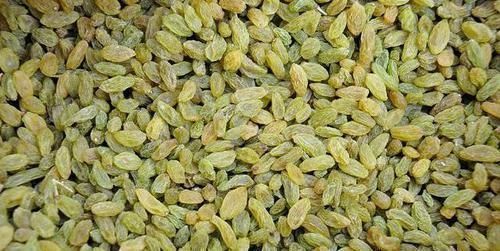 搭檔|蒲公英和它是“搭檔”,堅(jiān)持泡水喝,肝臟“干凈”了,人也年輕了